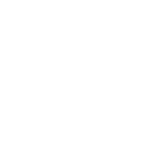 Spinland 500x500_white